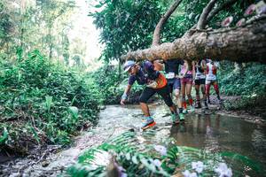 BIB: 
                            <button type="button" onclick="openModal(25446132)" class="btn btn-primary btn-sm float-right btn-popup" data-toggle="modal" data-target=".modal-high-quality">
                        <i class="fas fa-shopping-cart"></i> Add to Cart
                    </button>
                                            <button type="button" onclick="isThisMe(25446132, true)" class="btn btn-success btn-sm float-right btn-popup btn-isme hidden" data-toggle="tooltip" data-placement="bottom" title="นี่คือรูปของคุณใช่ไหม คลิกที่นี่เพื่อเอาเข้าอัลบั้ม">
                        <i class="fas fa-plus"></i> Add to album
                    </button>
                    <button type="button" onclick="isThisMe(25446132, false)" class="btn btn-warning btn-sm float-right btn-popup btn-isnotme hidden">
                        <i class="fas fa-ban"></i> Remove from album
                    </button>